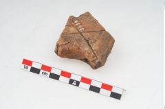 Foto von Feuerbock (NHMW-PRAE-003429)